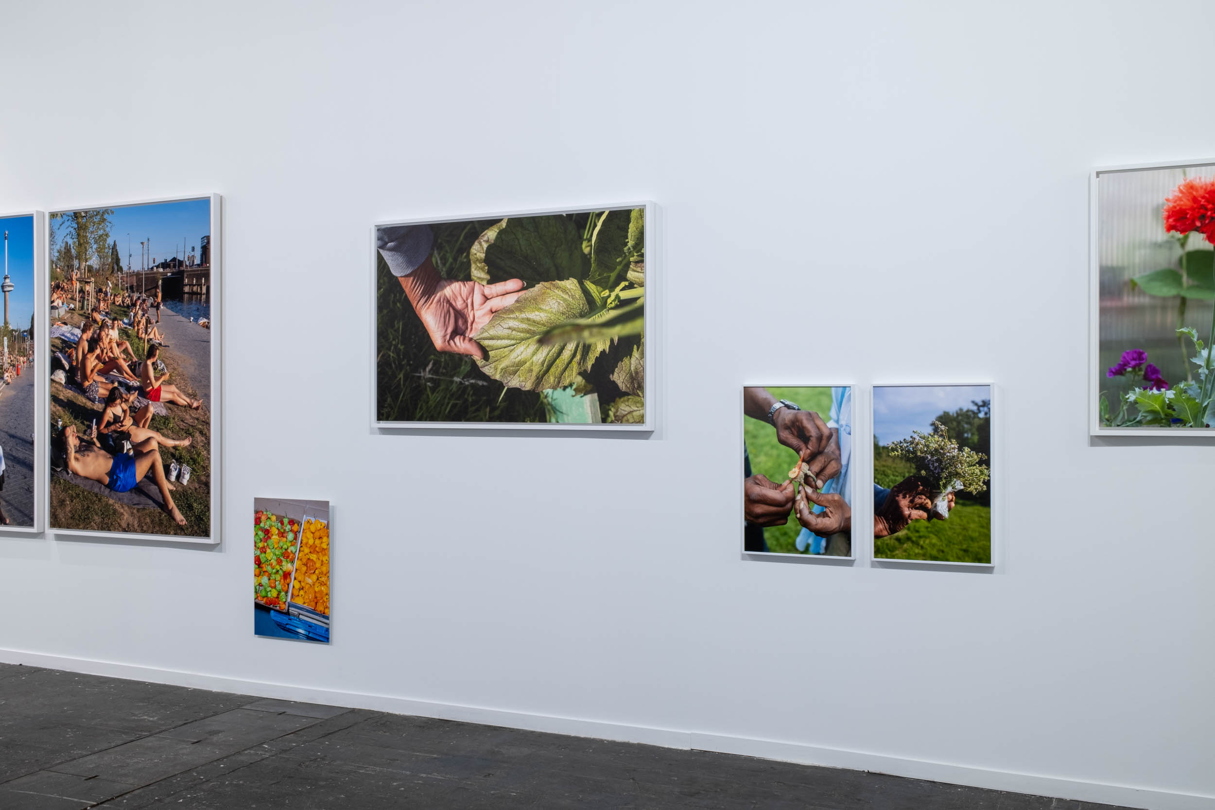 joey ramone arco madrid 2025