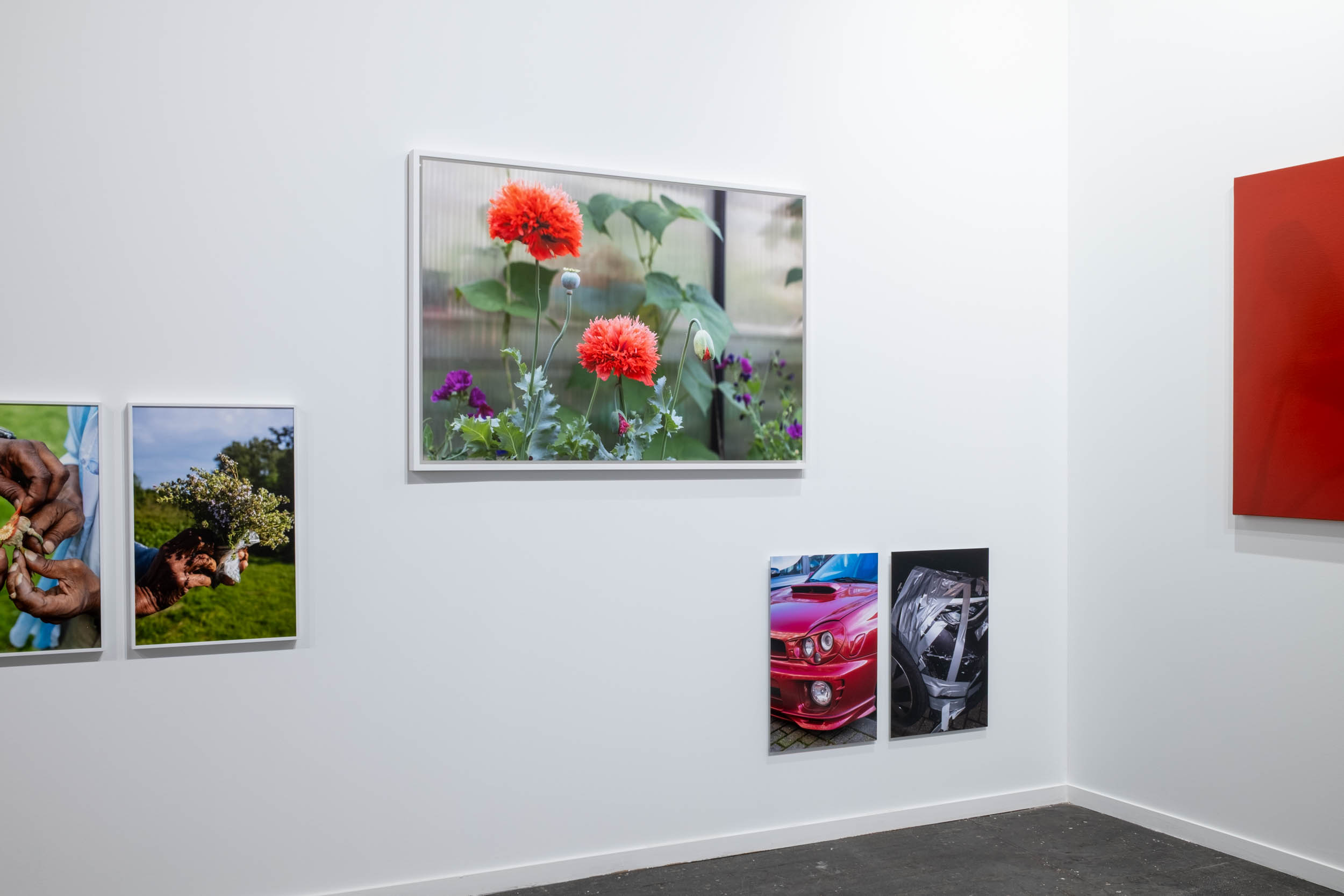 joey ramone arco madrid 2025