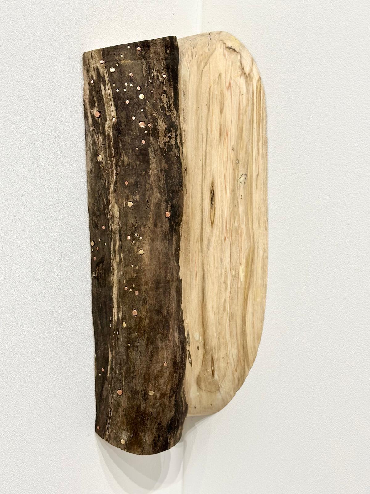 joey_ramone_maurice_meewisse_art_brussels_2025_