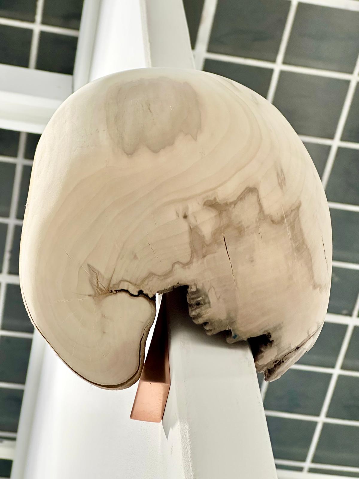 joey_ramone_maurice_meewisse_art_brussels_2025_