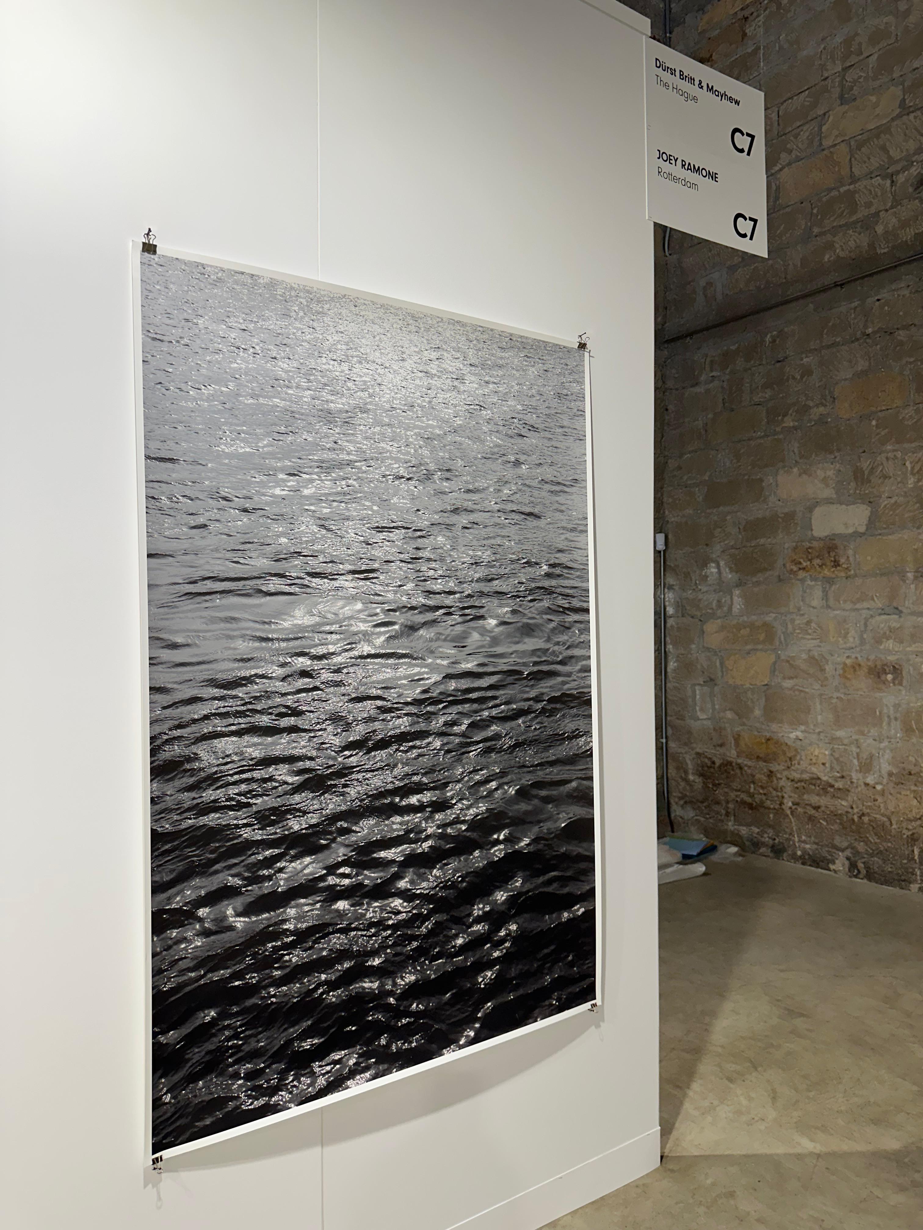 joey ramone vima art fair 2025