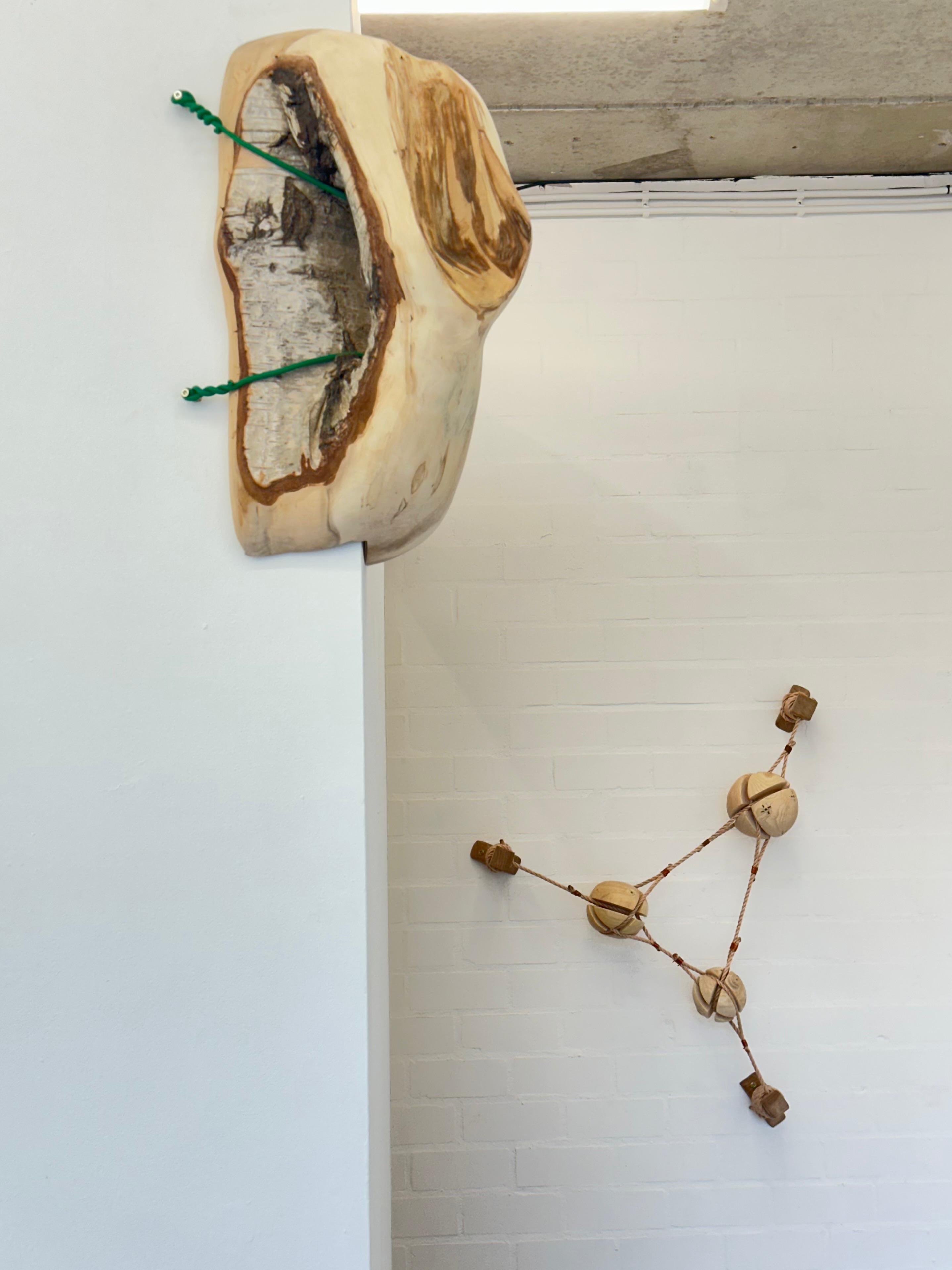 joey ramone maurice meewisse