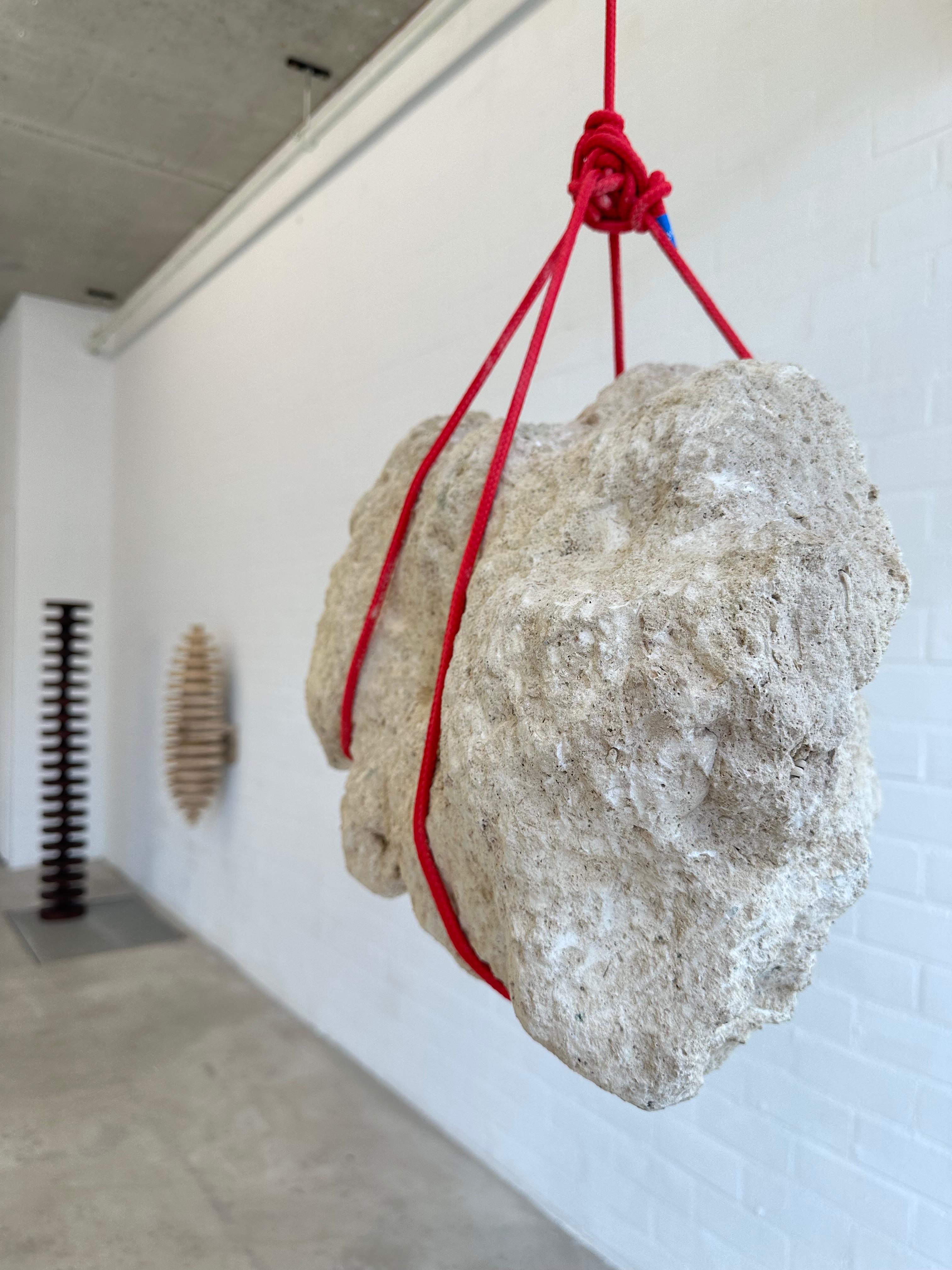 joey ramone maurice meewisse