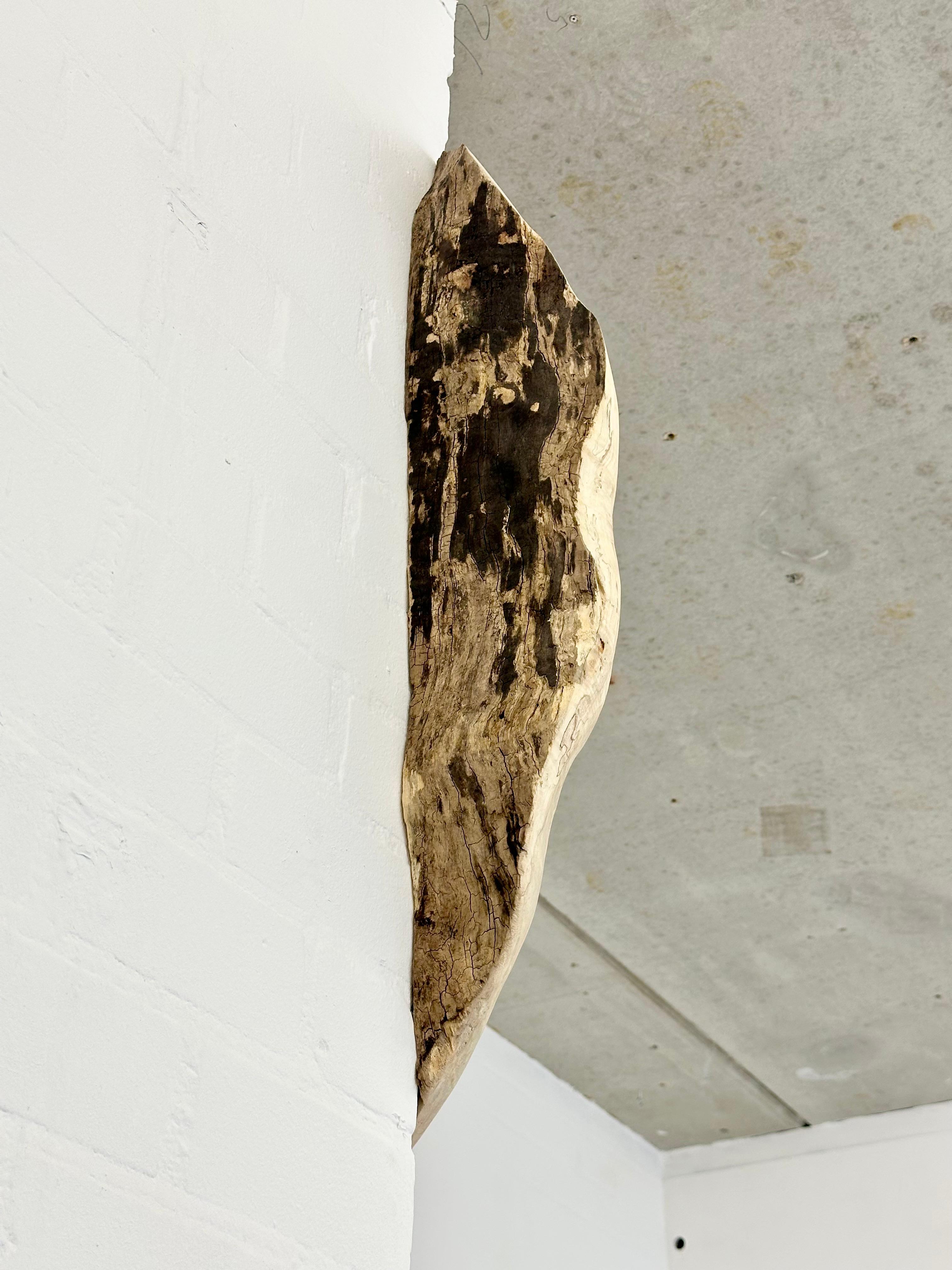 joey ramone maurice meewisse