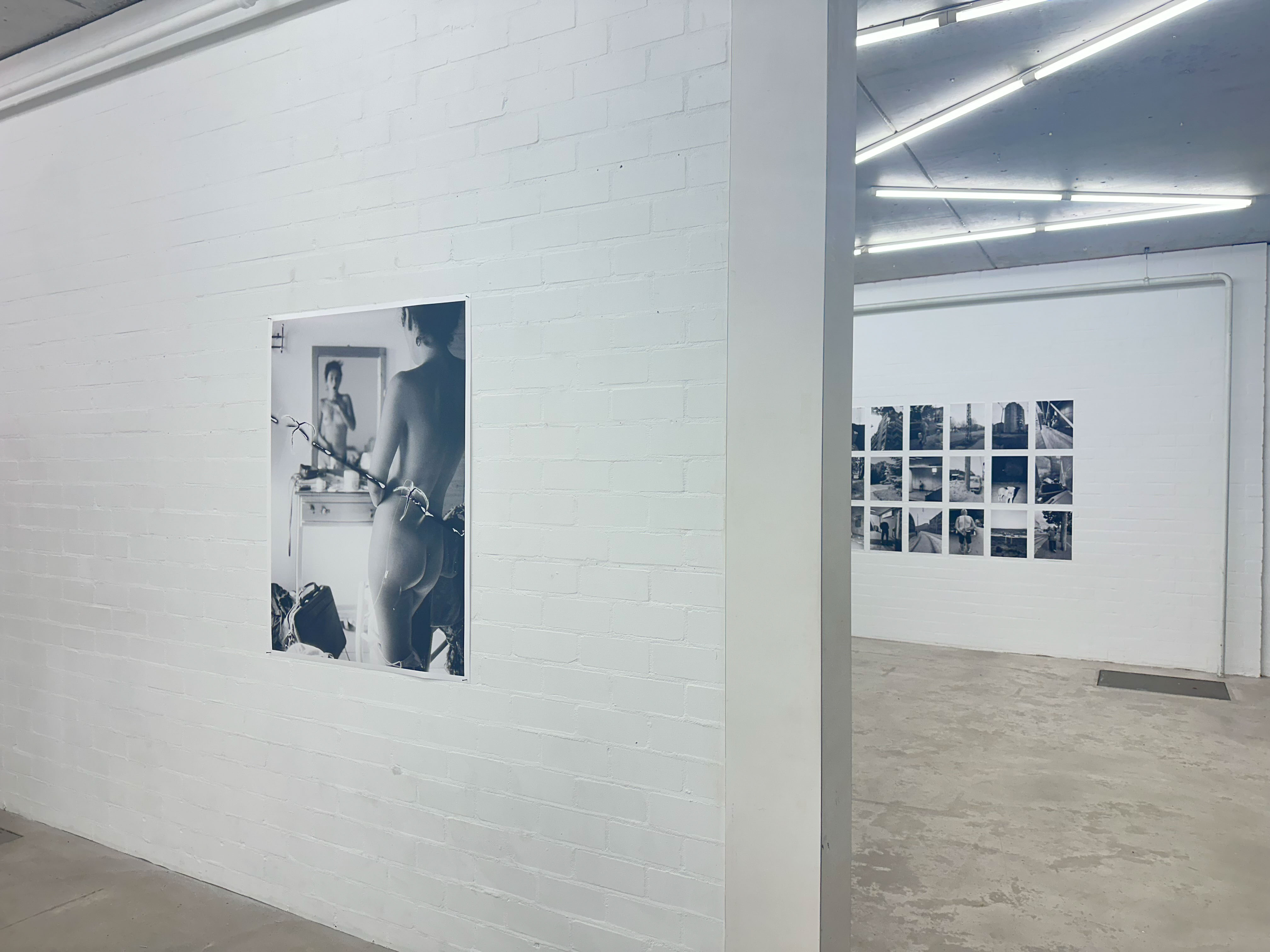 joey ramone tudor bratu