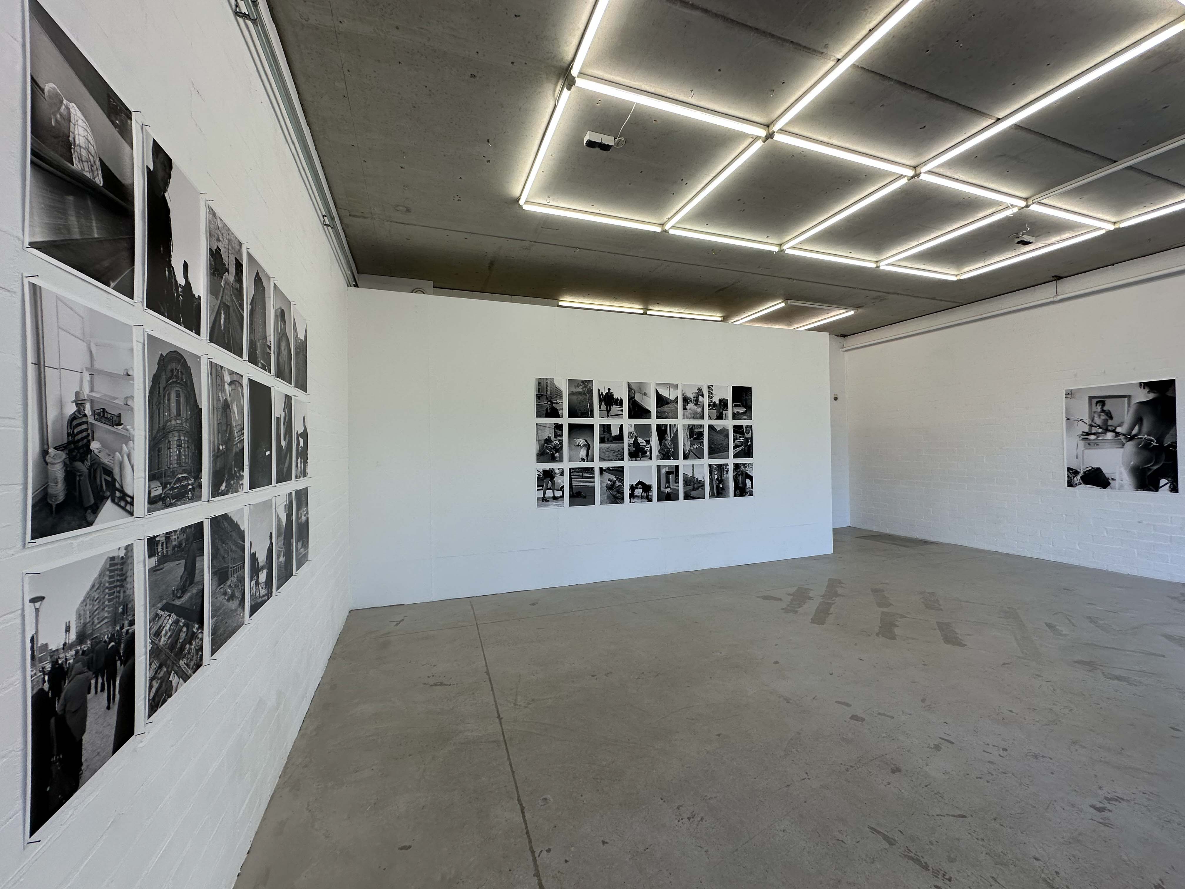 joey ramone tudor bratu