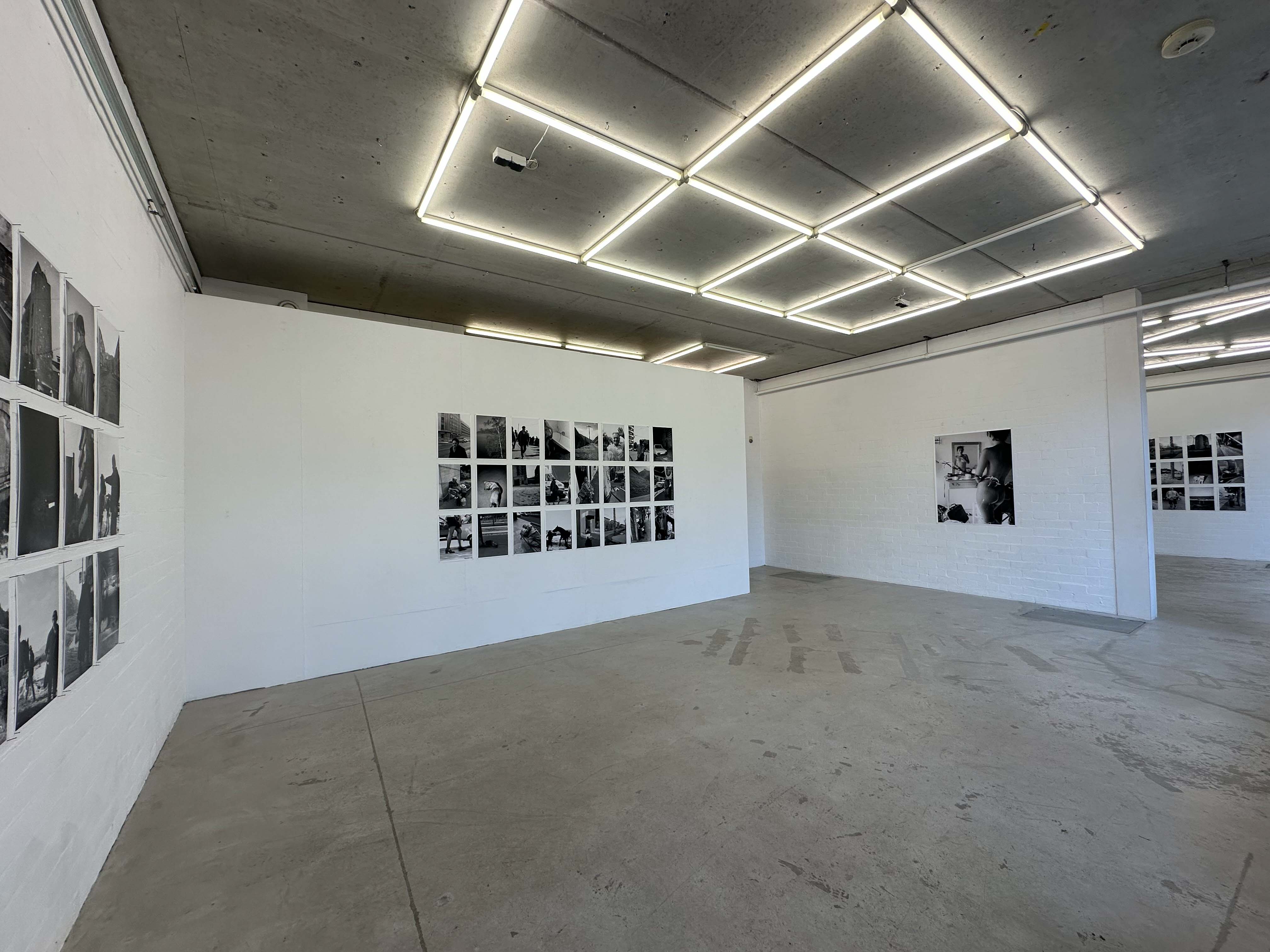 joey ramone tudor bratu