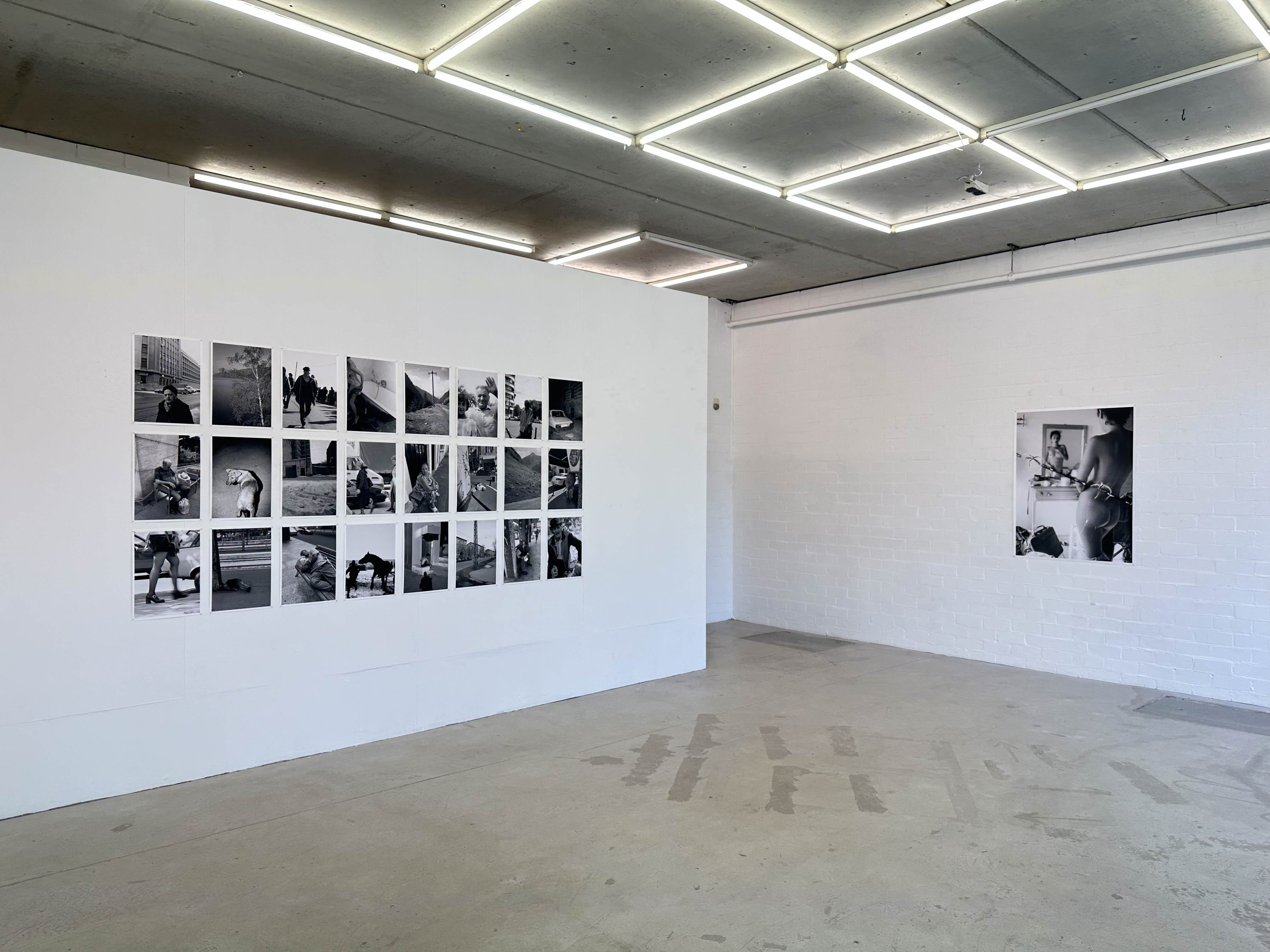 joey ramone tudor bratu