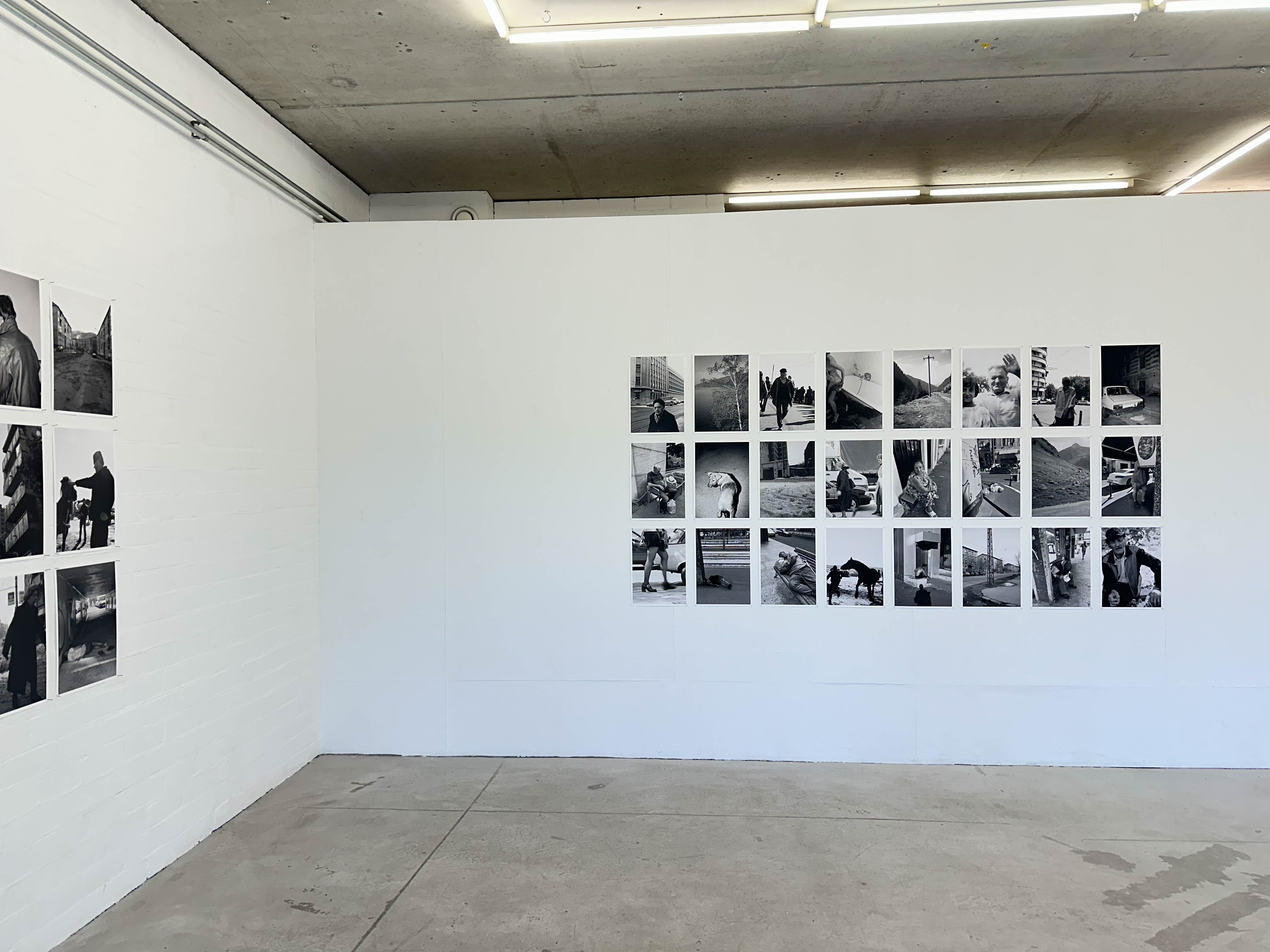 joey ramone tudor bratu