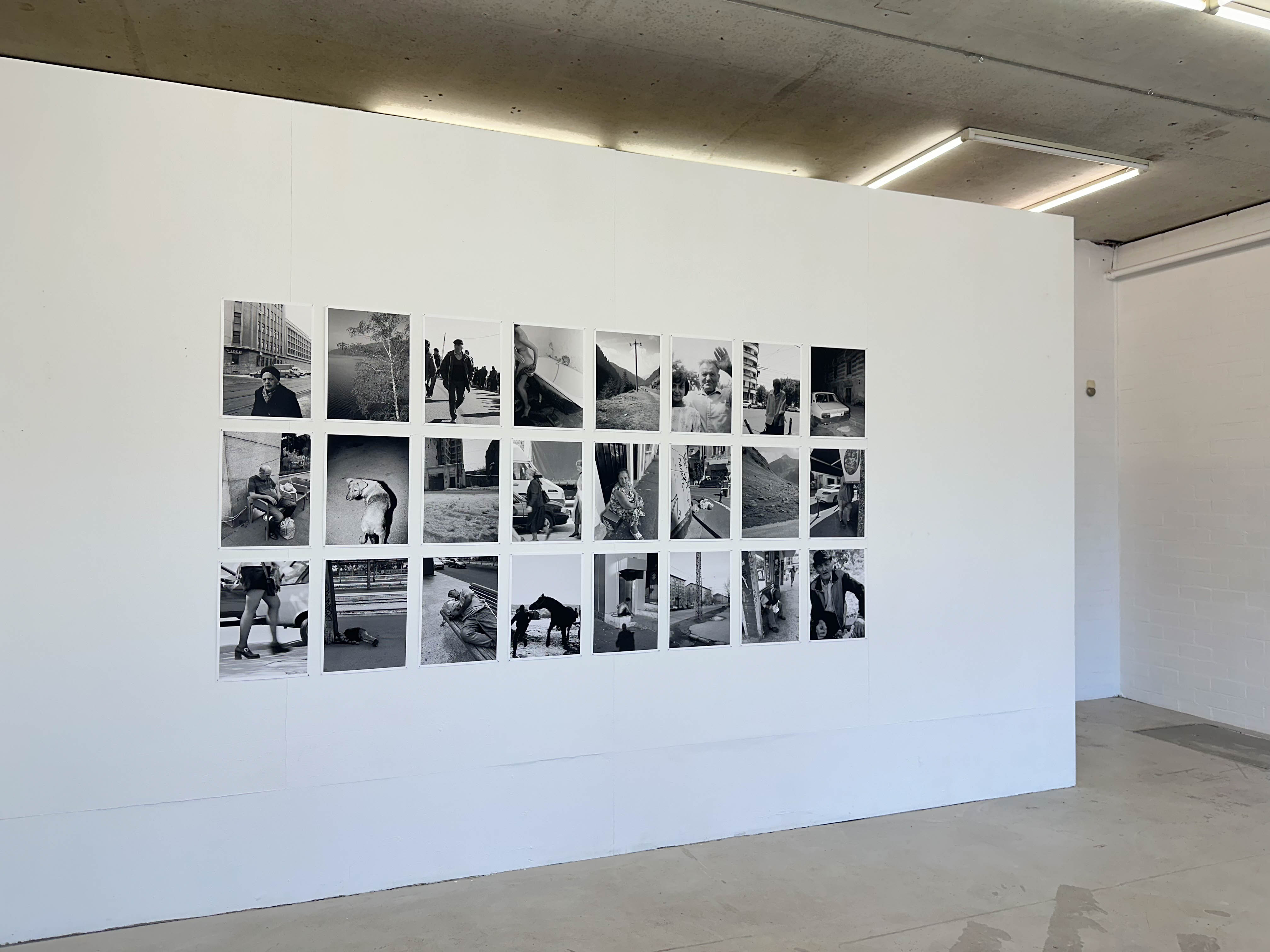 joey ramone tudor bratu