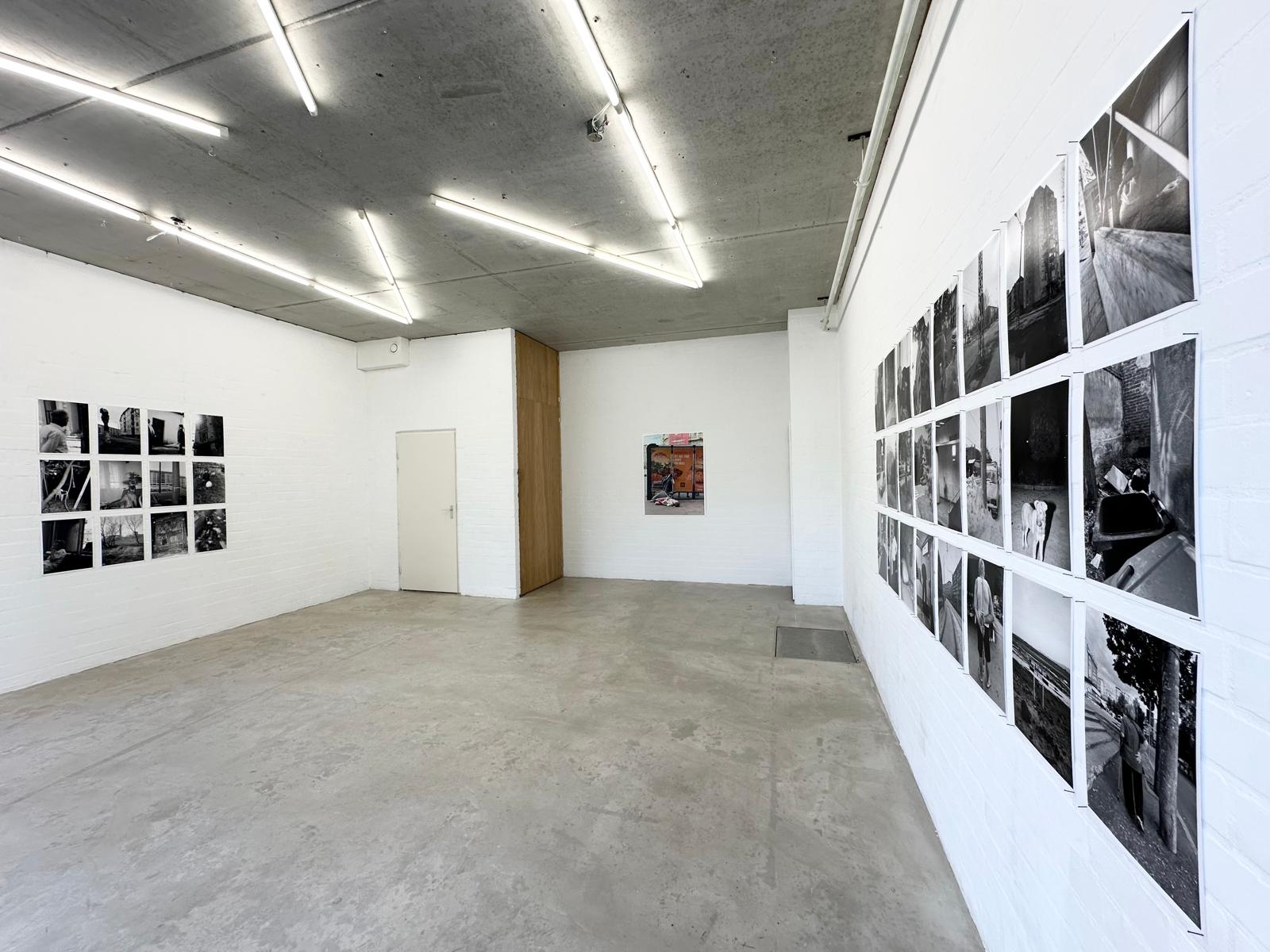 joey_ramone_tudor_bratu_