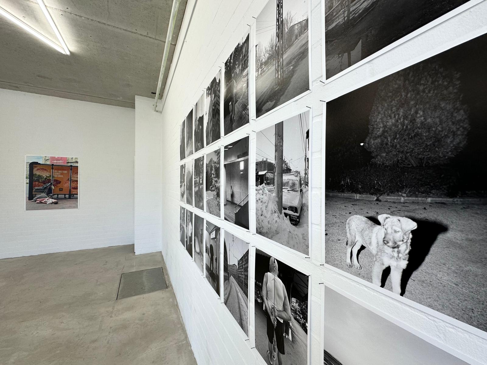 joey_ramone_tudor_bratu_