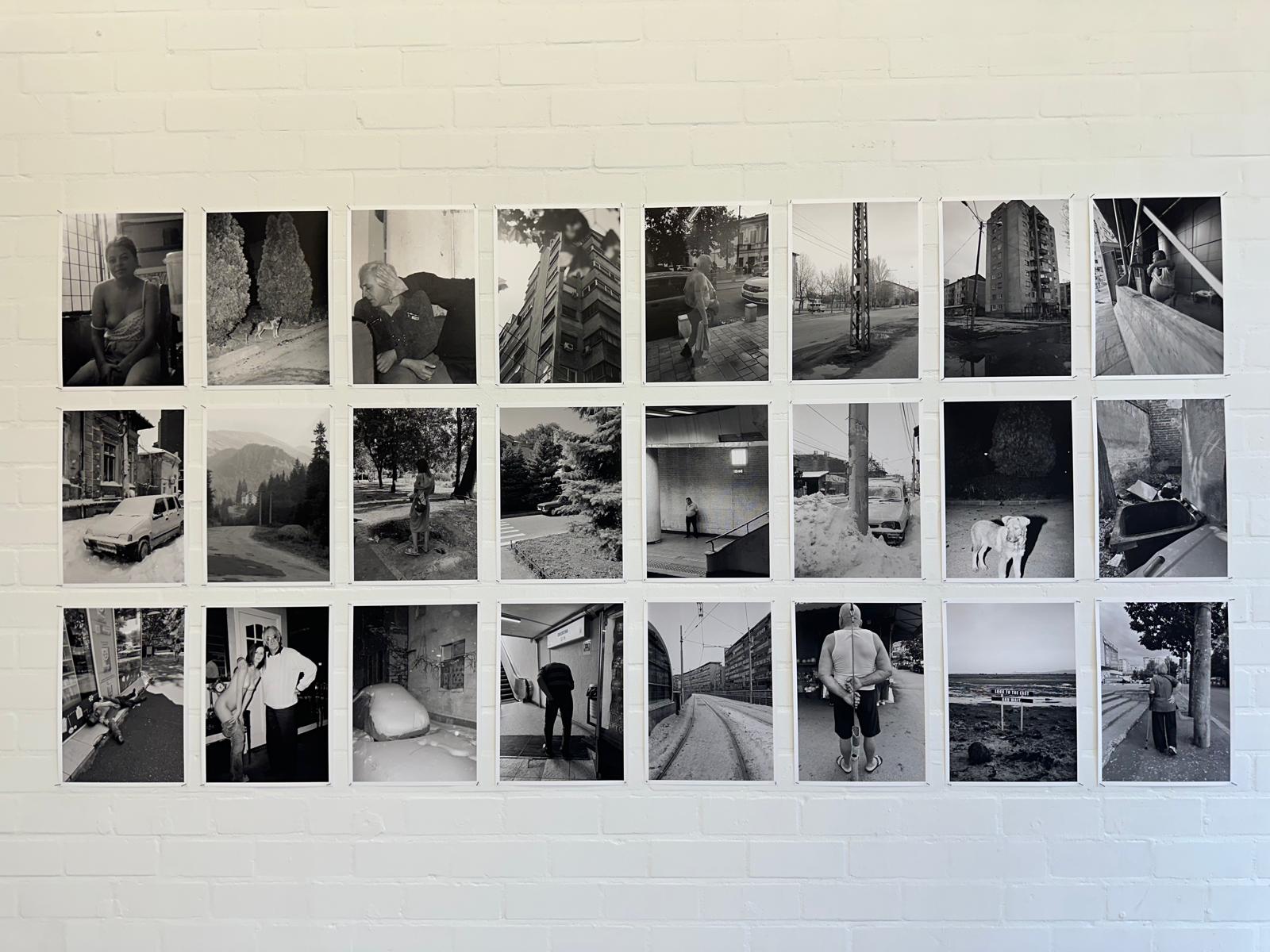 joey_ramone_tudor_bratu_