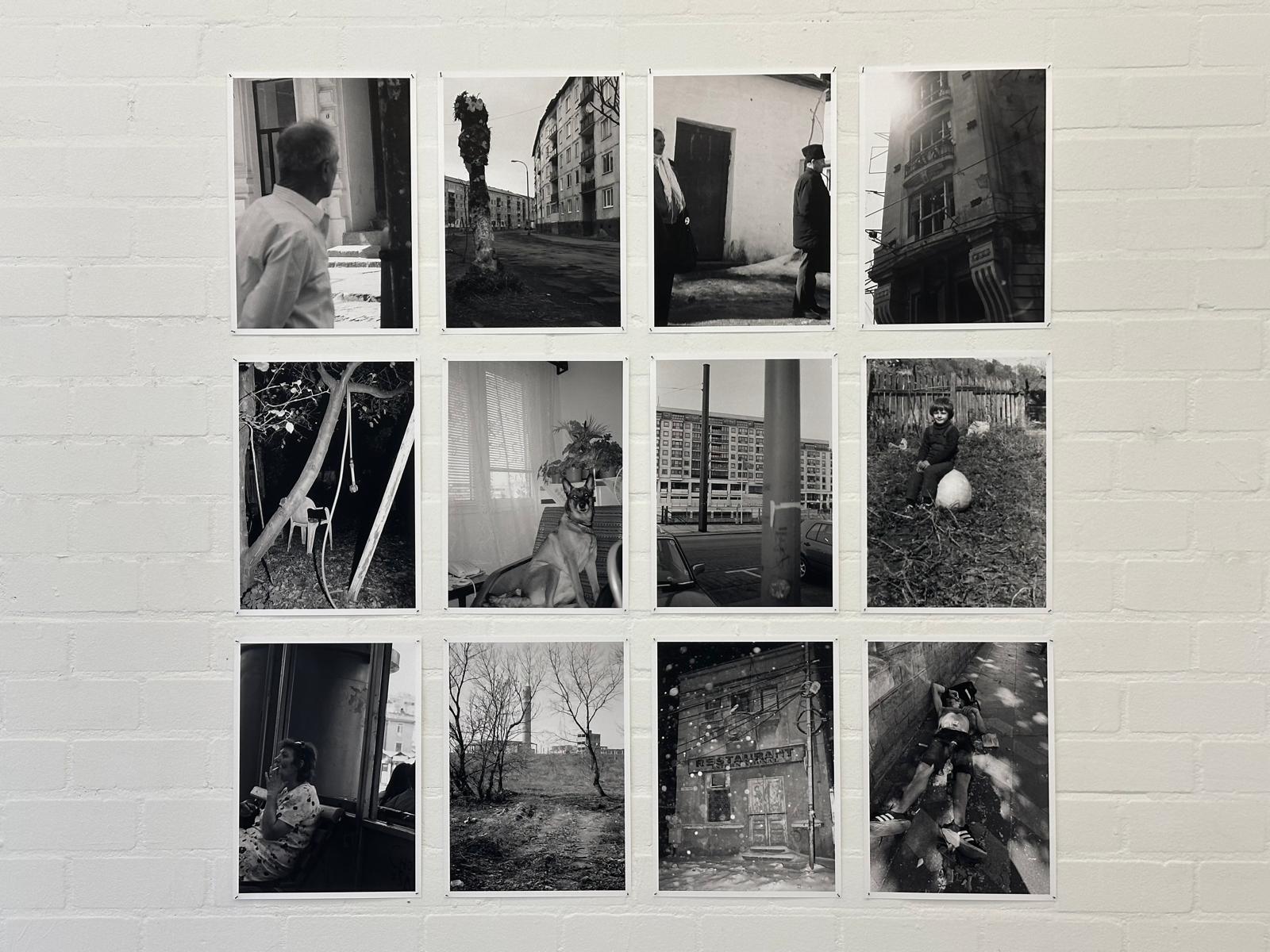 joey_ramone_tudor_bratu_