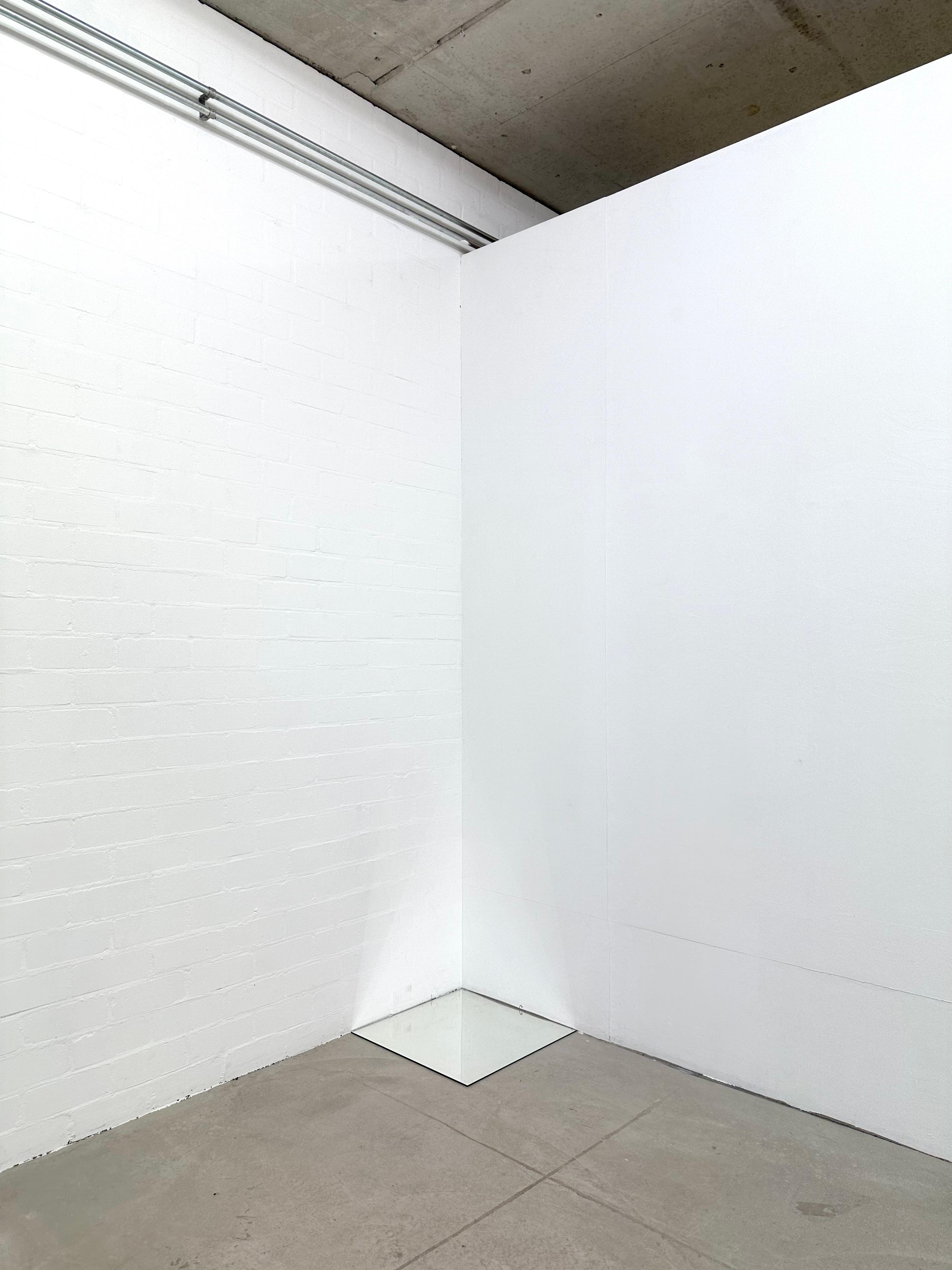 joey ramone living forms