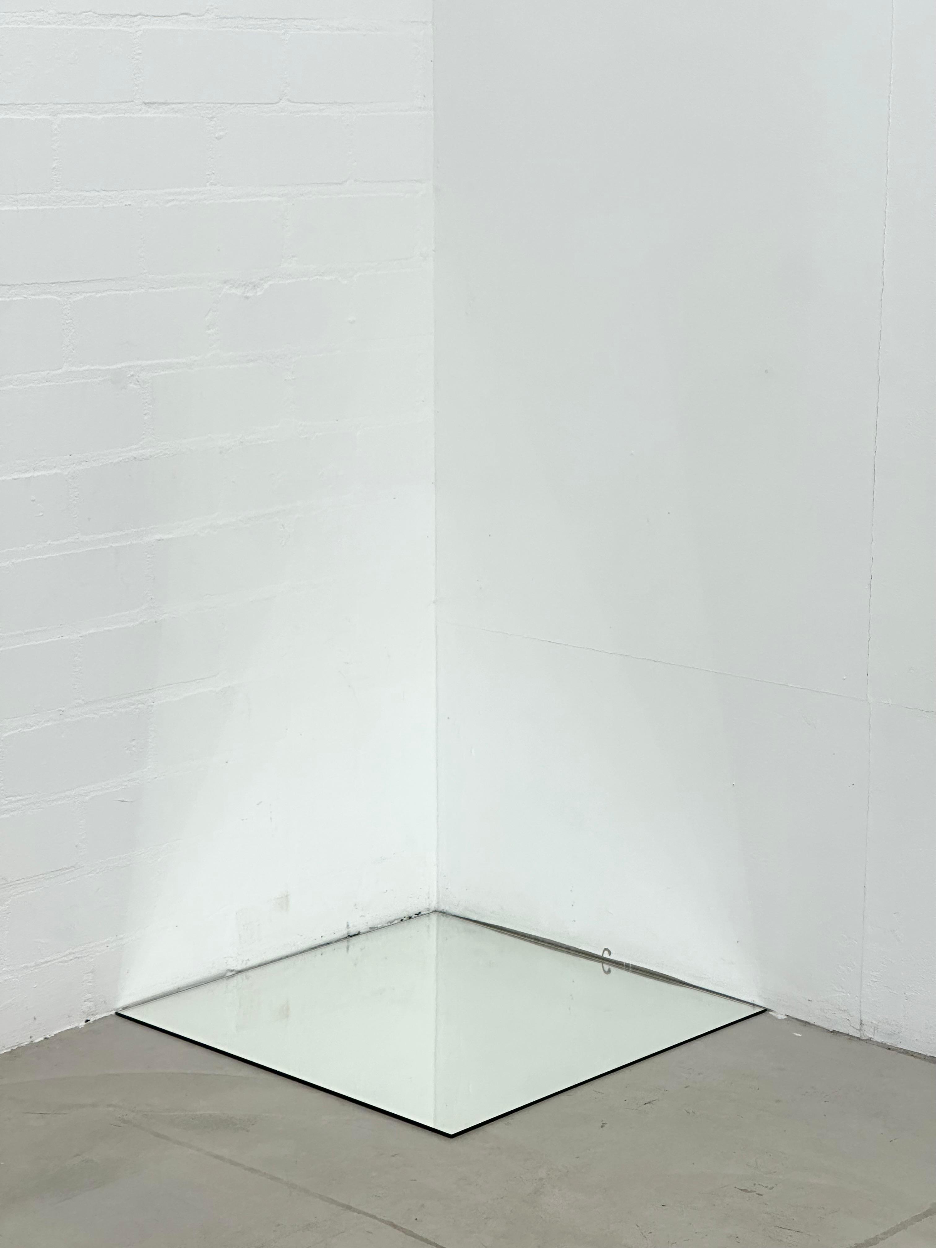 joey ramone living forms