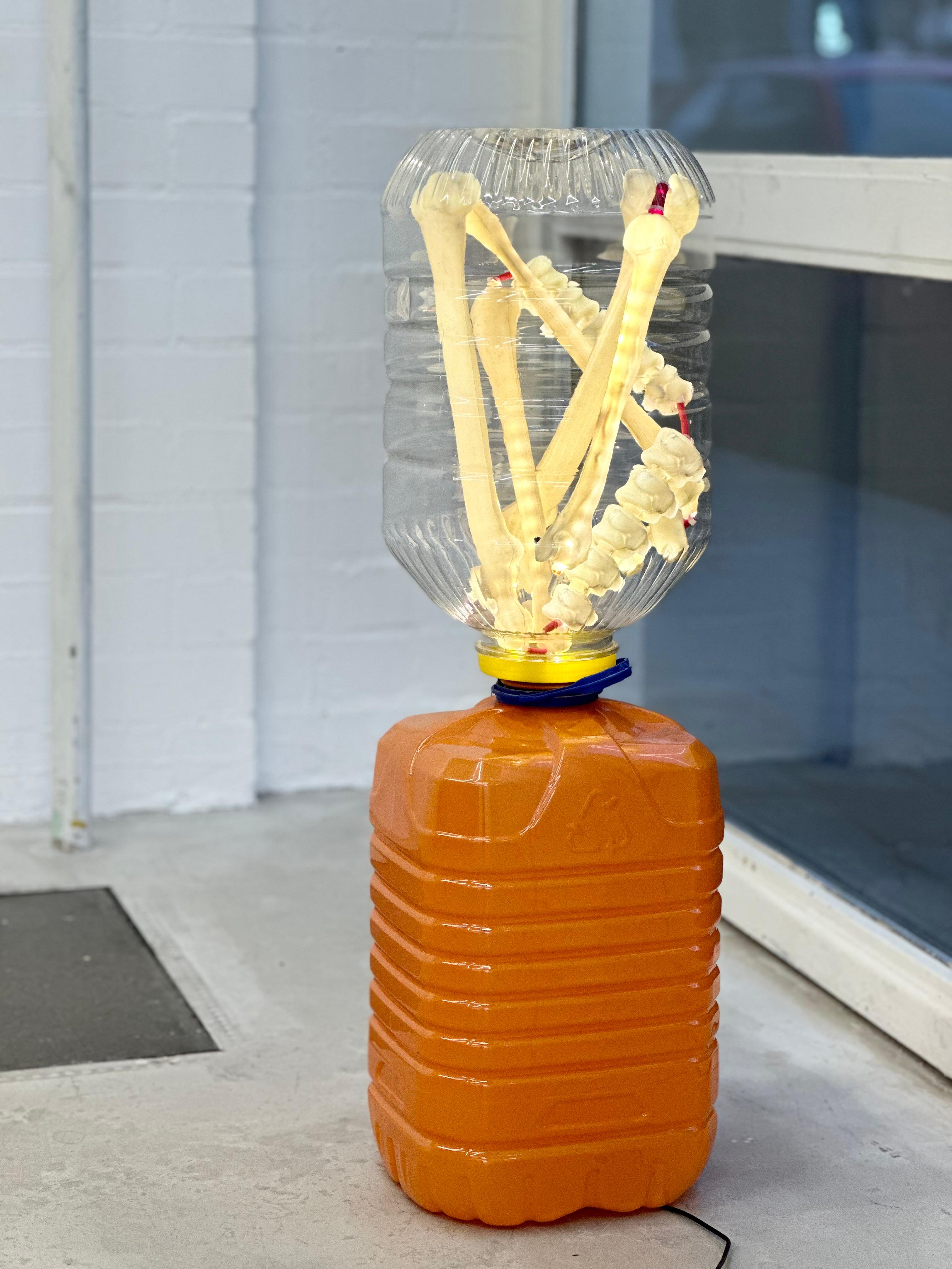 joey ramone living forms