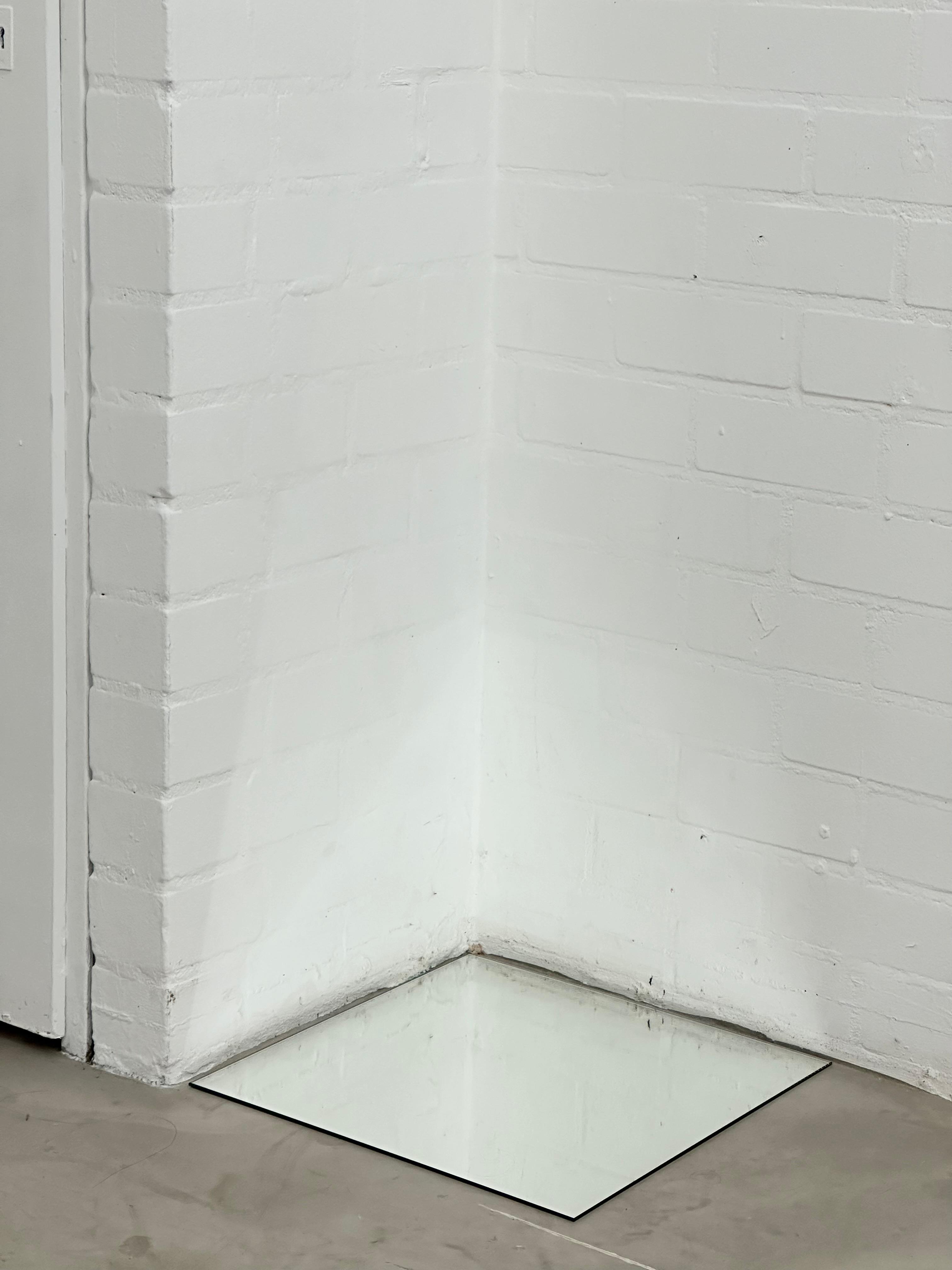 joey ramone living forms