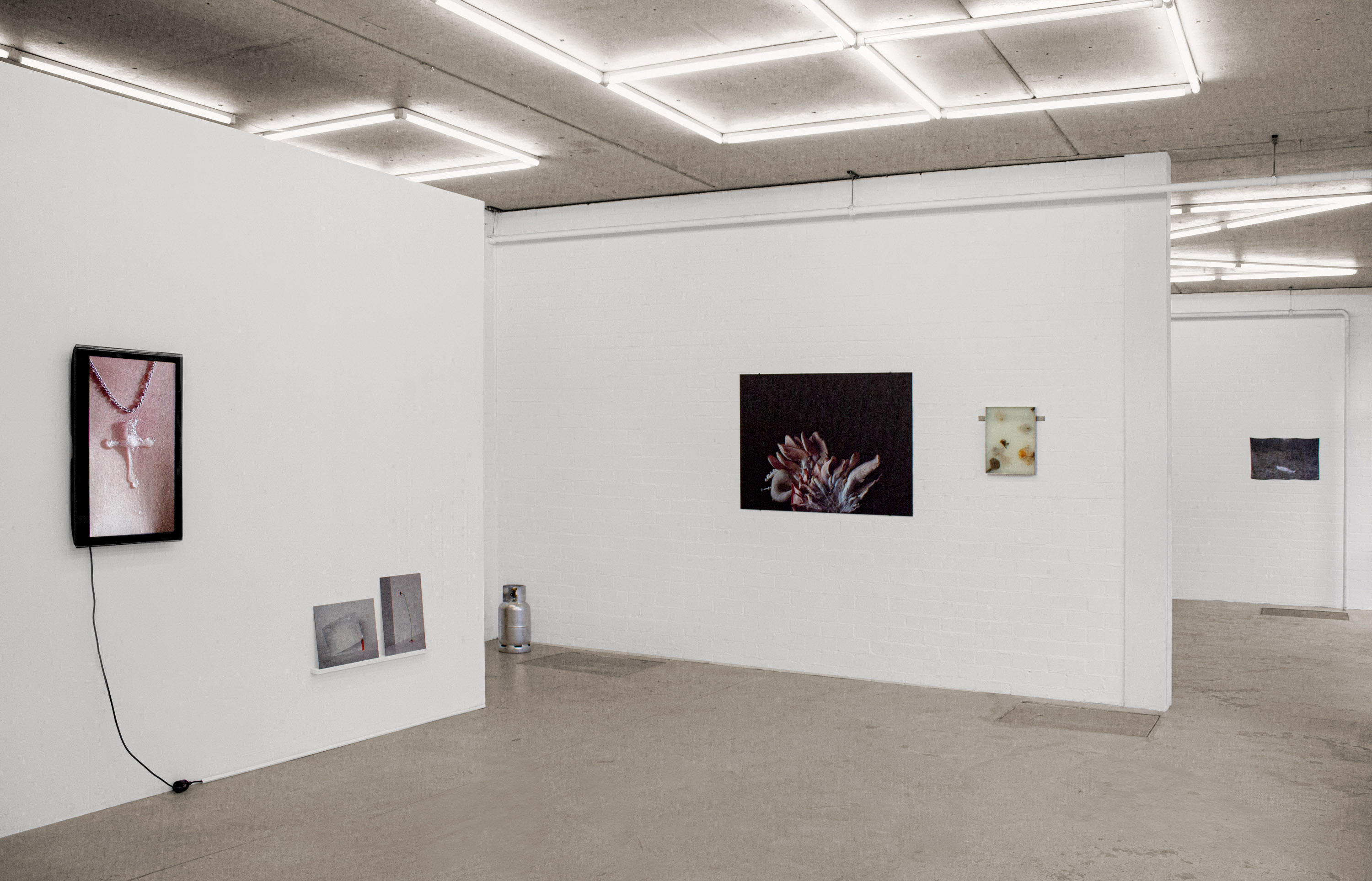 01 gallery @ joeyramone