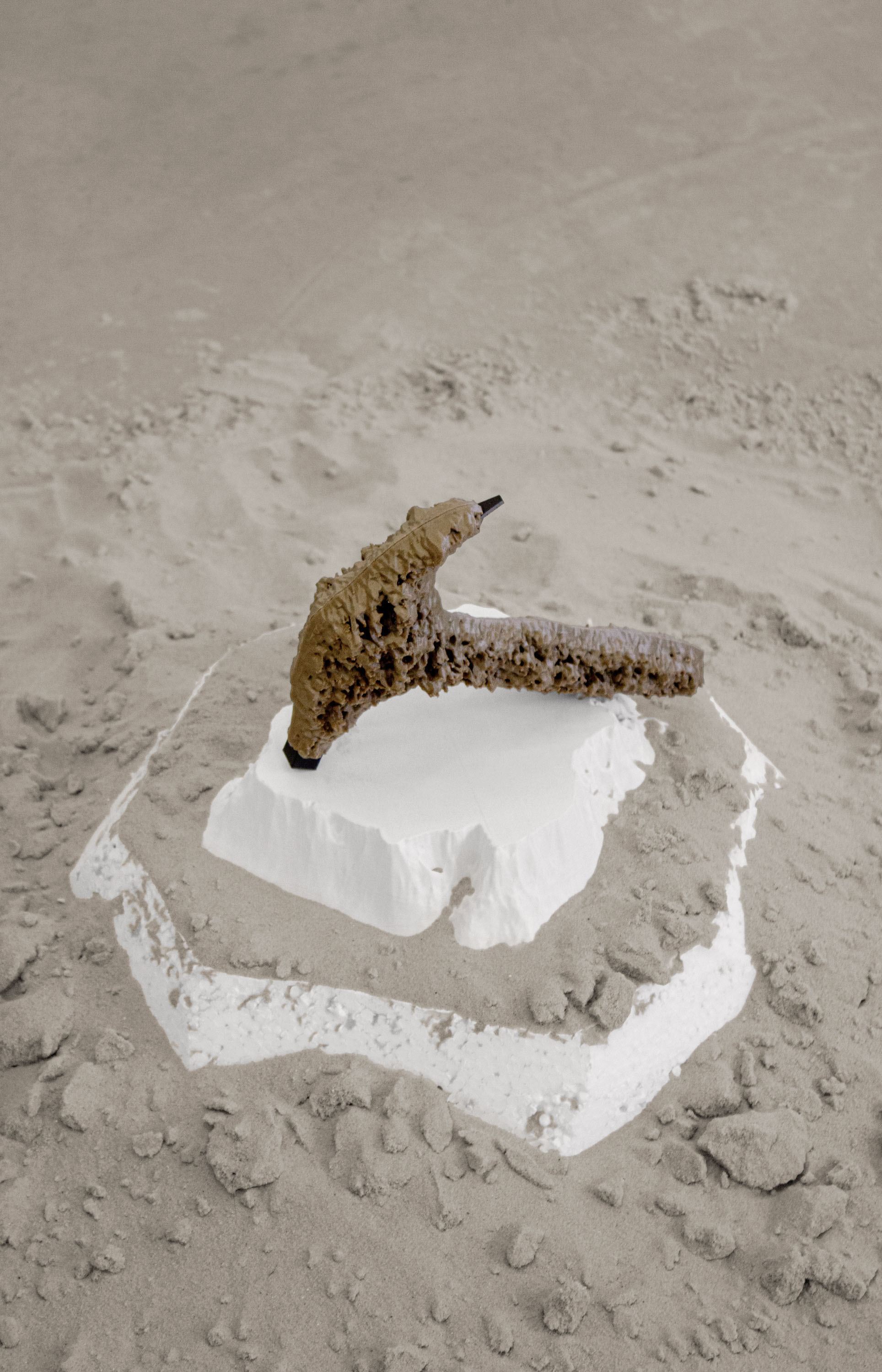 01 gallery @ joeyramone