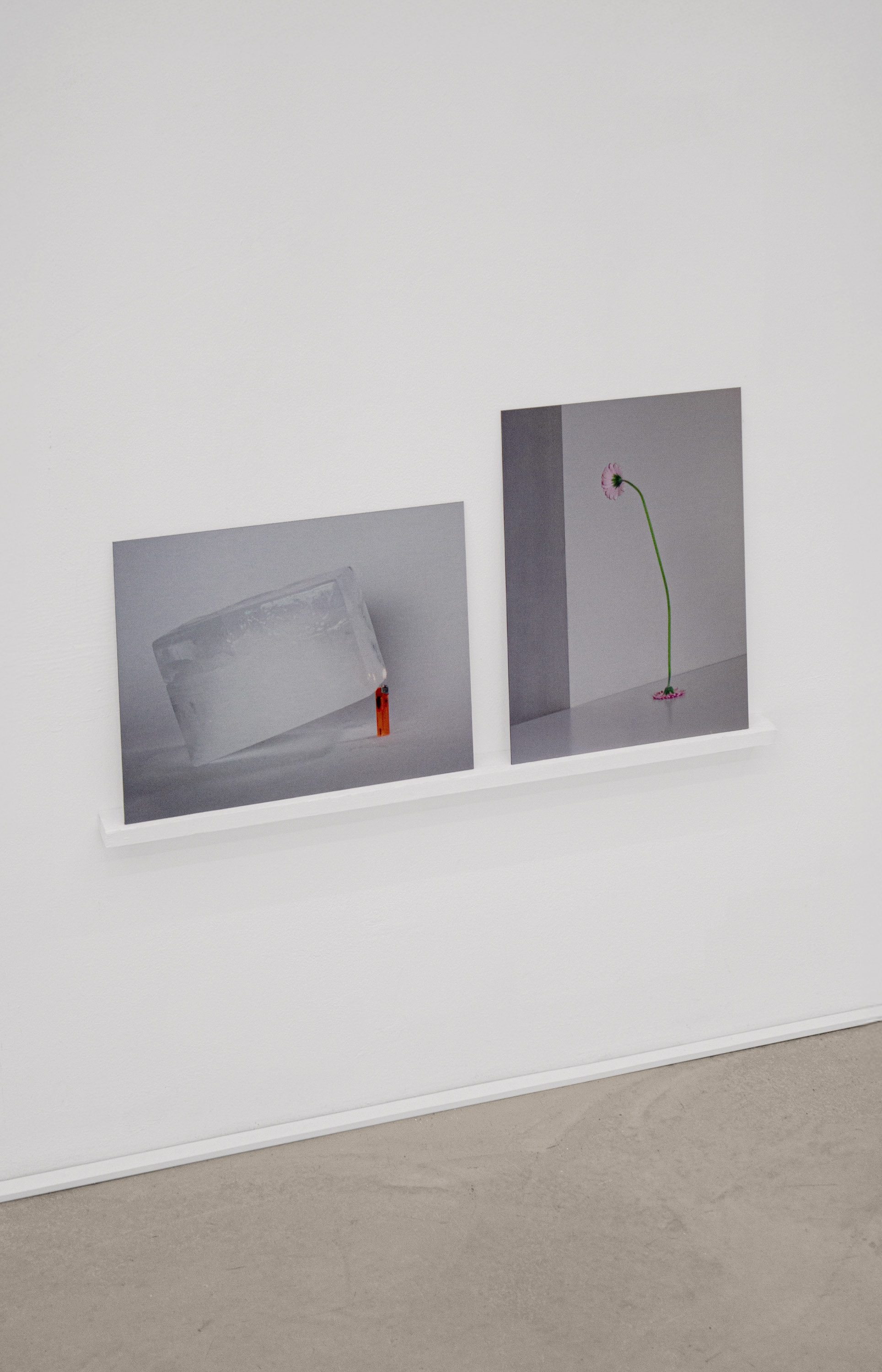 01 gallery @ joeyramone