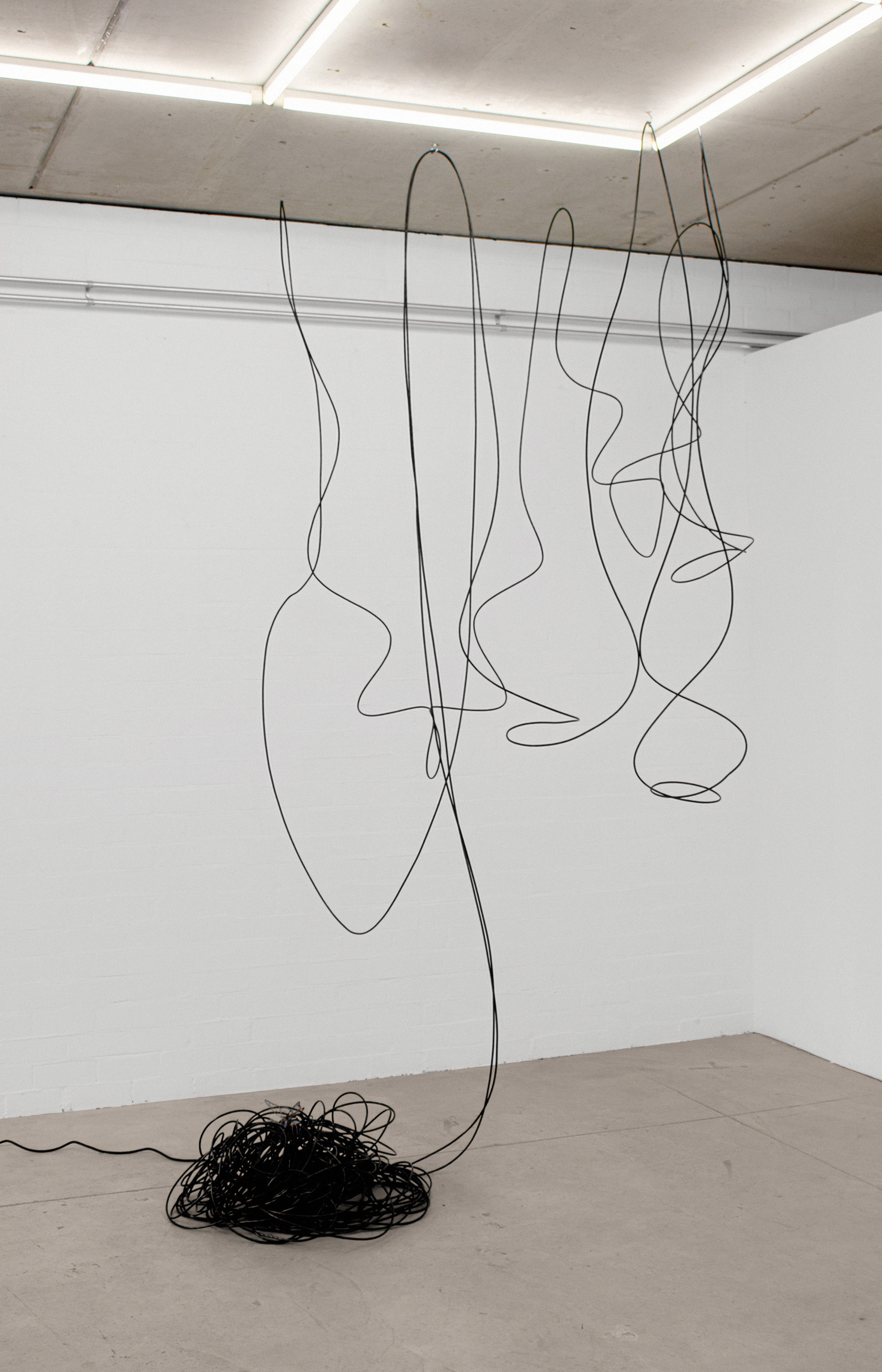 01 gallery @ joeyramone